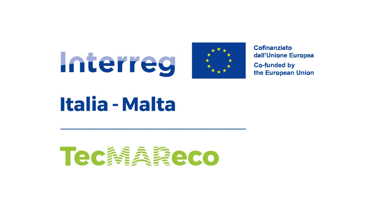 Avviso di selezione TecMAReco